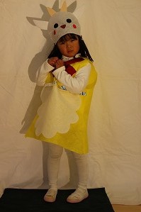 IMG_6991 IMG_6991