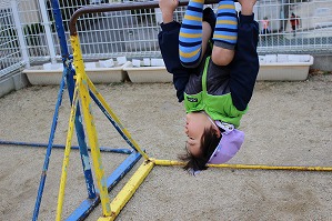 IMG_8707 IMG_8707