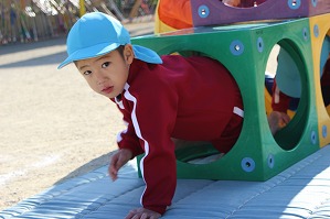 IMG_8805 IMG_8805
