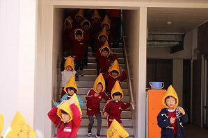 IMG_8868 IMG_8868