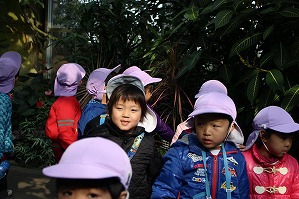 IMG_8927 IMG_8927