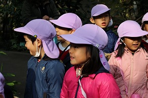 IMG_8928 IMG_8928
