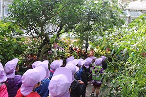 IMG_8929 IMG_8929