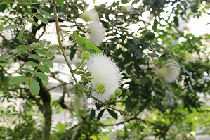 IMG_8930 IMG_8930
