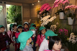IMG_8931 IMG_8931