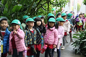 IMG_8936 IMG_8936