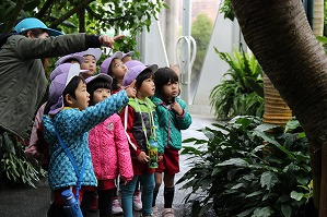 IMG_8938 IMG_8938