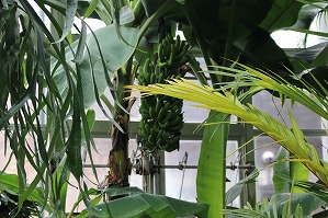 IMG_8939 IMG_8939