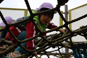 IMG_8949 IMG_8949