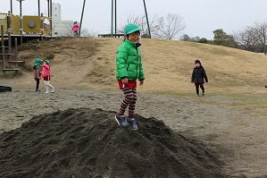 IMG_8955 IMG_8955