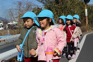IMG_9517 IMG_9517