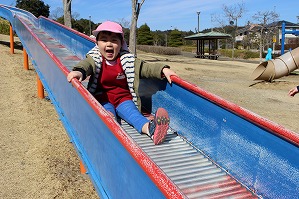 IMG_9528 IMG_9528