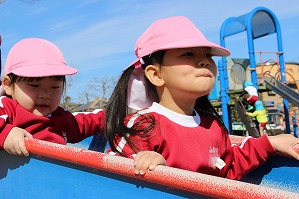 IMG_9534 IMG_9534