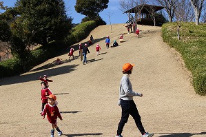 IMG_9536 IMG_9536
