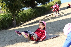 IMG_9540 IMG_9540