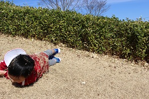 IMG_9547 IMG_9547