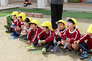 IMG_9817 IMG_9817