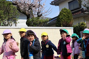 IMG_0197 IMG_0197