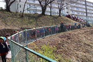 IMG_0228 IMG_0228