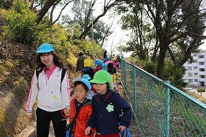 IMG_0234 IMG_0234