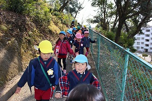 IMG_0235 IMG_0235