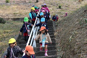IMG_0236 IMG_0236