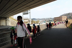 IMG_0287 IMG_0287