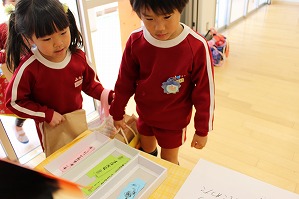 IMG_9924 IMG_9924