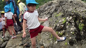 20170605111820(1) 20170605111820(1)