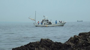 20170605112359(1) 20170605112359(1)