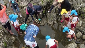20170605113812(1) 20170605113812(1)
