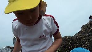 20170605114352(2) 20170605114352(2)