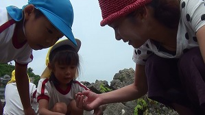 20170605114458(3) 20170605114458(3)