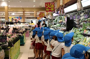 IMG_1730 IMG_1730