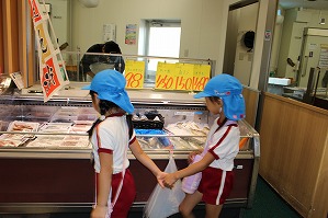 IMG_1731 IMG_1731