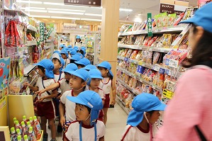 IMG_1732 IMG_1732