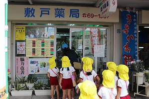 IMG_1737 IMG_1737