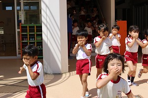 IMG_1765 IMG_1765