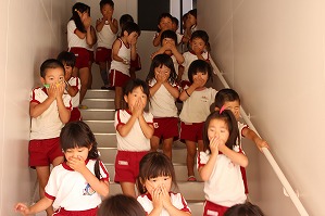 IMG_1768 IMG_1768