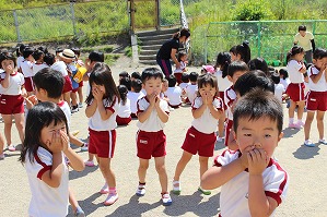 IMG_1771 IMG_1771