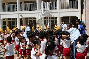 IMG_1774 IMG_1774