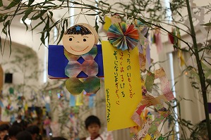 IMG_1964 IMG_1964