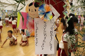IMG_1965 IMG_1965
