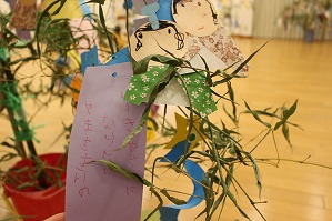 IMG_1983 IMG_1983