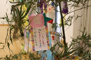 IMG_1985 IMG_1985
