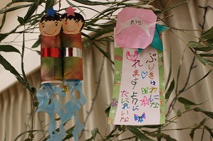 IMG_1986 IMG_1986