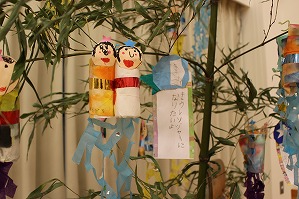 IMG_1990 IMG_1990