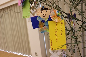IMG_1997 IMG_1997