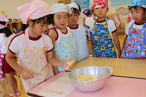 IMG_2027 IMG_2027
