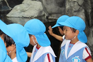 IMG_2195 IMG_2195